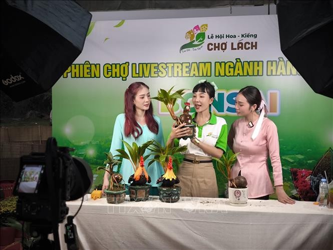 Khai mạc lễ hội hoa kiểng đầu tiên của tỉnh Bến Tre ảnh 1