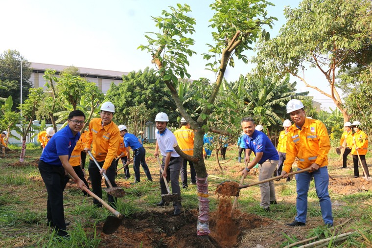 PV GAS SE lan tỏa sắc xanh trên công trình khí ảnh 2