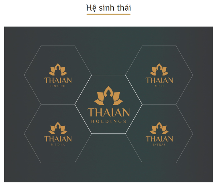 Chân dung doanh nghiệp đề xuất làm nhiều dự án... triệu đô ở Vịnh Hạ Long ảnh 1