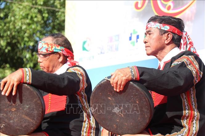 Đắk Lắk: Du khách ấn tượng với Hội voi Buôn Đôn ảnh 1