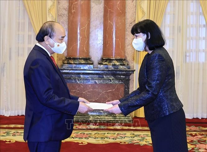 Chủ tịch nước Nguyễn Xuân Phúc tiếp các Đại sứ đến trình Quốc thư ảnh 2