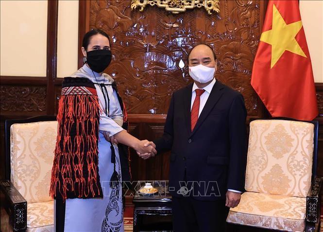 Chủ tịch nước Nguyễn Xuân Phúc tiếp các Đại sứ đến trình Quốc thư ảnh 8