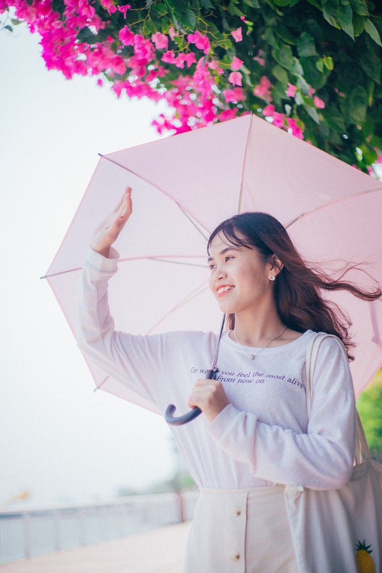 Hoa giấy Đà Nẵng: Thiên đường check-in của giới trẻ Đà thành ảnh 3