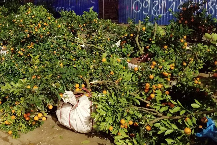 Công nhân môi trường làm viêc xuyên đêm giao thừa ảnh 3