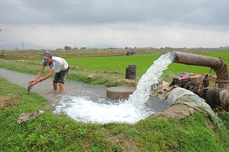 Nông dân xuống đồng: Sản xuất đi đôi với phòng, chống dịch ảnh 2