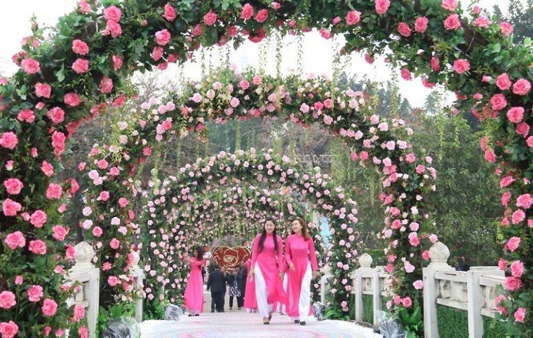 3 trải nghiệm nghỉ dưỡng độc đáo giữa thiên đường hoa ven biển tại Thanh Hóa ảnh 2