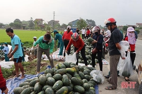 Người dân giúp tài xế thu gom 20 tấn dưa hấu đổ xuống ruộng ảnh 3