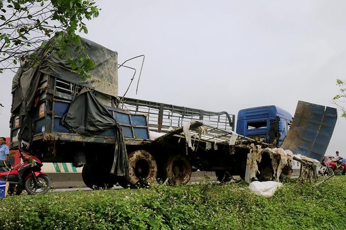 Người dân giúp tài xế thu gom 20 tấn dưa hấu đổ xuống ruộng ảnh 1