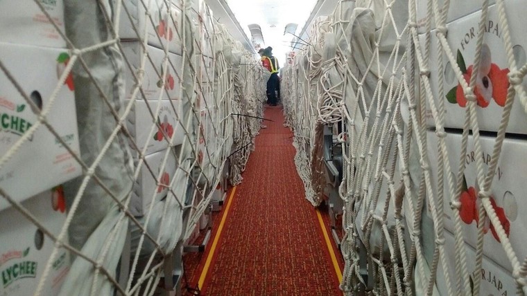 Vietjet & Swift247 vận chuyển vải thiều tới nhiều thị trường trong nước và quốc tế ảnh 6