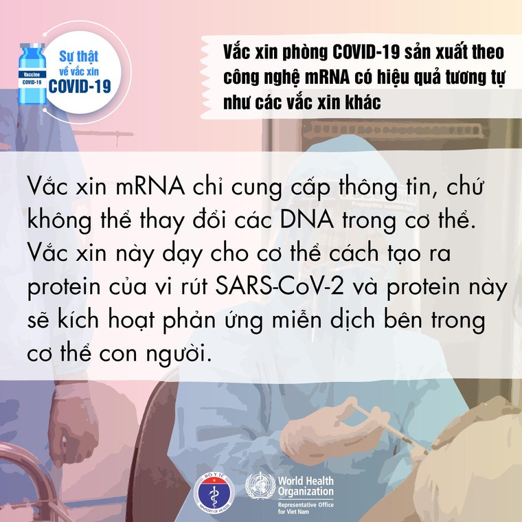 Tiêm vaccine COVID-19 giúp cơ thể sinh ra miễn dịch mạnh hơn ảnh 6