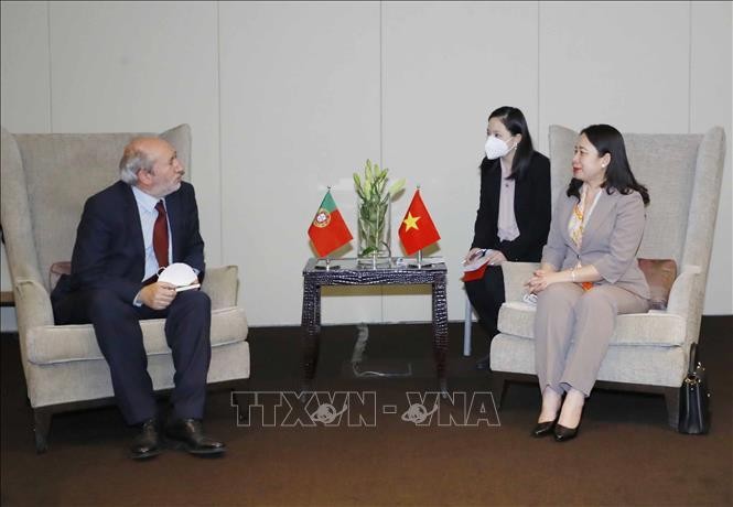 Phó Chủ tịch nước Võ Thị Ánh Xuân gặp Phó Chủ tịch Quốc hội Bồ Đào Nha ảnh 1