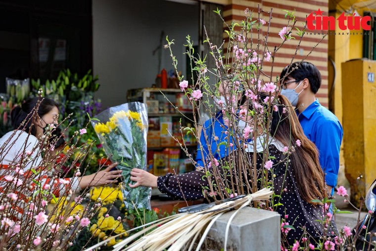Hà Nội: Mang đào Tết đến tận nhà cho các F0 ảnh 2
