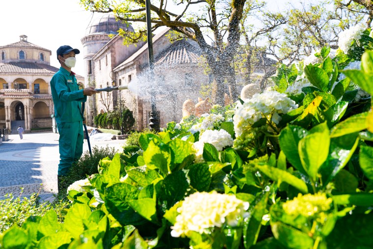 Sun World Ba Na Hills nâng cấp sản phẩm, dịch vụ quy mô lớn ảnh 2