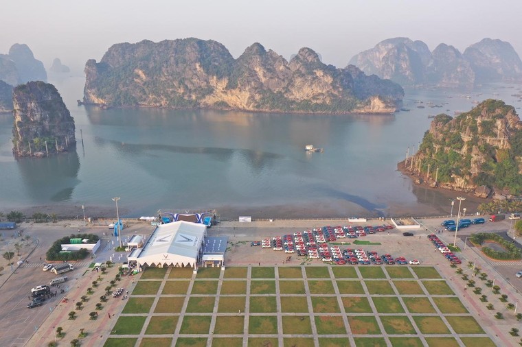 Đoàn xe điện VinFast tạo hình chữ V khổng lồ bên Vịnh Hạ Long ảnh 6