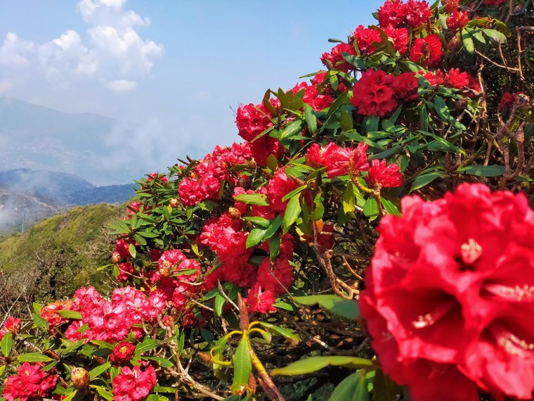 Gợi ý điểm đến lý tưởng vùng Tây Bắc cho kỳ nghỉ lễ dài 30/4 ảnh 1