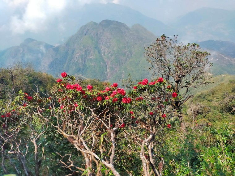 Gợi ý điểm đến lý tưởng vùng Tây Bắc cho kỳ nghỉ lễ dài 30/4 ảnh 2