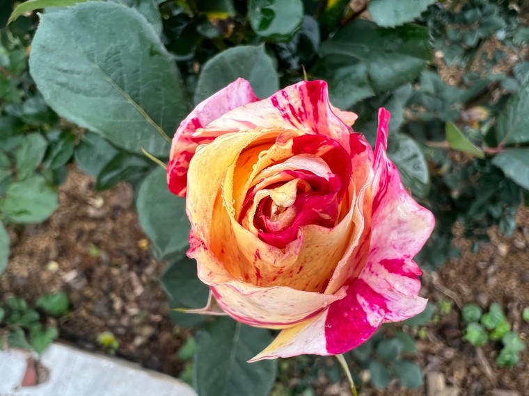 Gợi ý điểm đến lý tưởng vùng Tây Bắc cho kỳ nghỉ lễ dài 30/4 ảnh 4