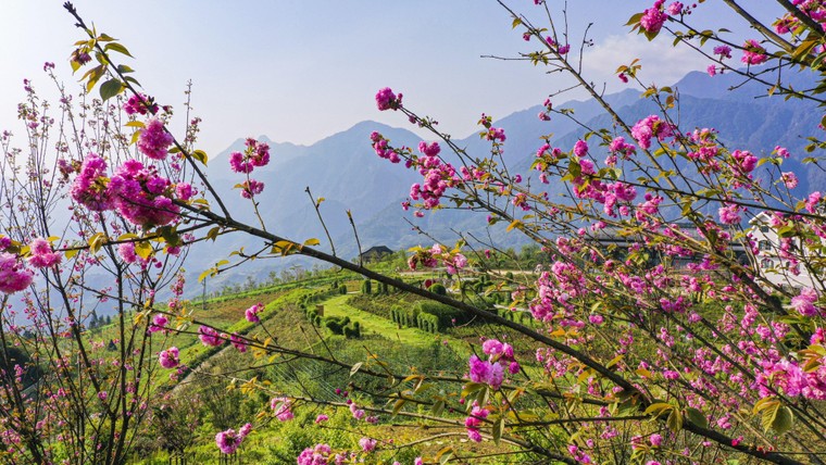 Gợi ý điểm đến lý tưởng vùng Tây Bắc cho kỳ nghỉ lễ dài 30/4 ảnh 6