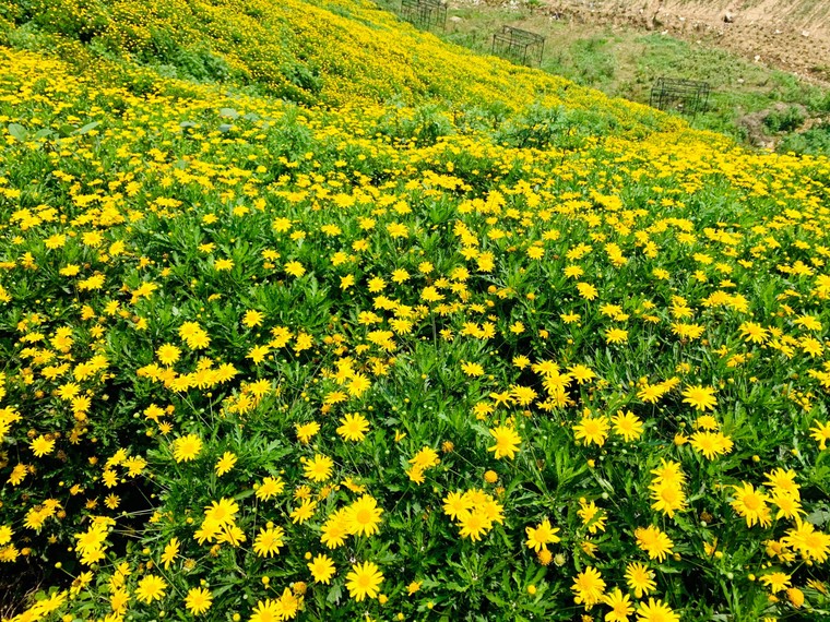 Gợi ý điểm đến lý tưởng vùng Tây Bắc cho kỳ nghỉ lễ dài 30/4 ảnh 8