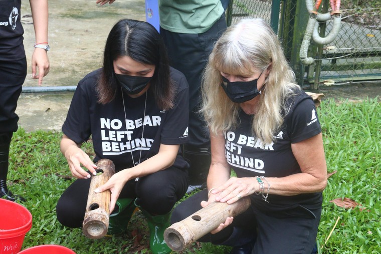 Tăng Thanh Hà cùng nhiều ngôi sao chăm sóc gấu tại Tam Đảo ảnh 2