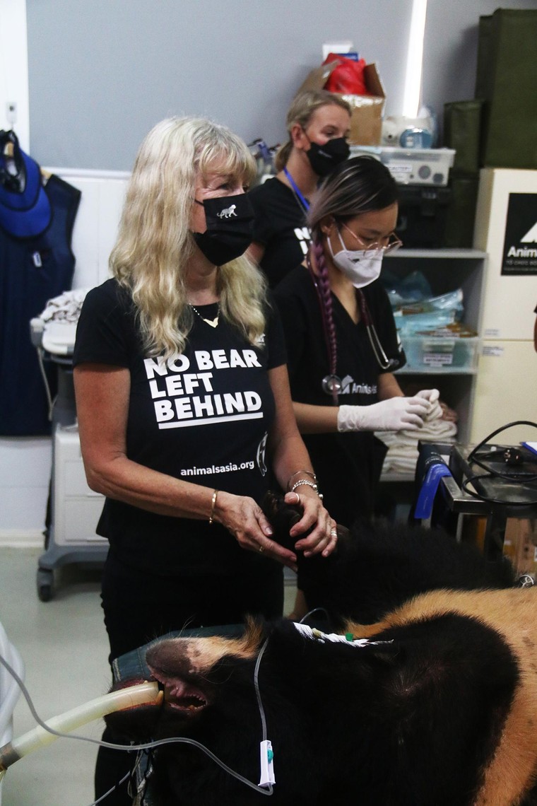 Tăng Thanh Hà cùng nhiều ngôi sao chăm sóc gấu tại Tam Đảo ảnh 9