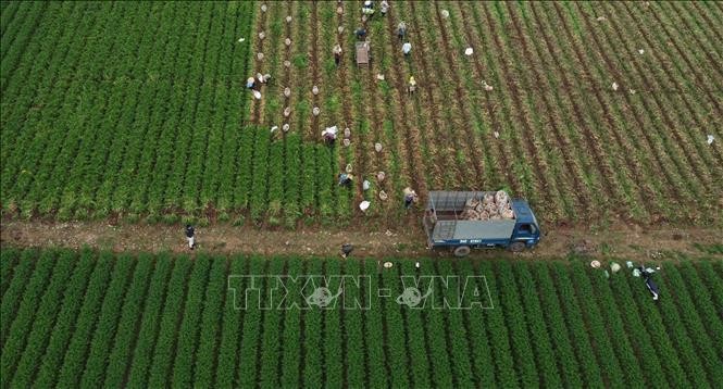 Xuất khẩu Việt Nam tiến gần mốc 400 tỷ USD trong năm 2022 ảnh 5