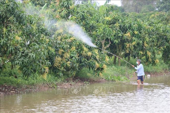 Xuất khẩu Việt Nam tiến gần mốc 400 tỷ USD trong năm 2022 ảnh 7