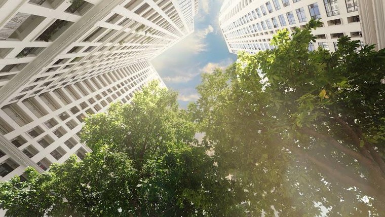 Cảm nhận mùa thu giữa không gian đô thị Xanh của Sunshine Group ảnh 14