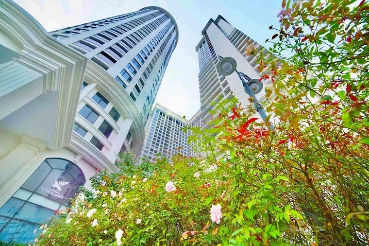 Cảm nhận mùa thu giữa không gian đô thị Xanh của Sunshine Group ảnh 7