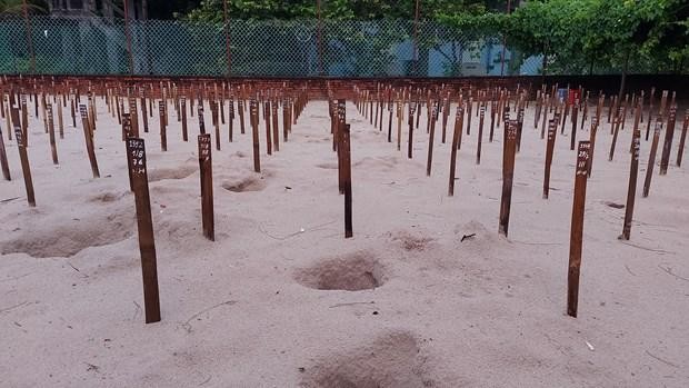 Bà Rịa-Vũng Tàu phát triển du lịch sinh thái để bảo vệ môi trường ảnh 1