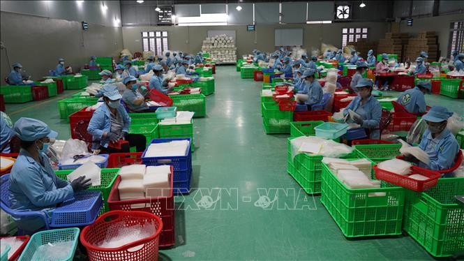 Lao động trở lại làm việc ổn định sau Tết Quý Mão ảnh 1