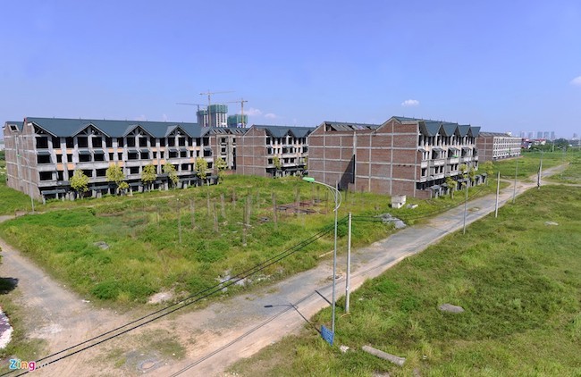 Đàn trâu nghỉ trưa trong khu biệt thự nghìn tỷ ảnh 1