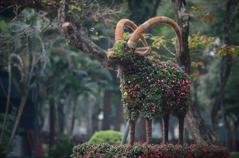 Hà Nội lần đầu có 12 con giáp khổng lồ bằng hoa lập thể ảnh 5