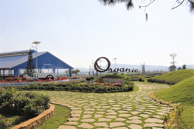 Vinamilk 6 năm liền lọt Top ’50 công ty kinh doanh hiệu quả nhất Việt Nam” ảnh 1