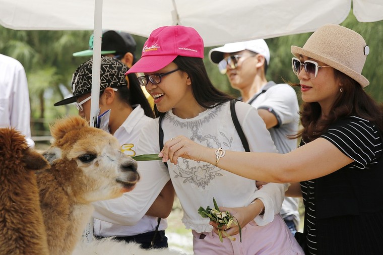 Lịch trình 3 ngày đến Quy Nhơn ngắm cảnh, ăn ngon và chơi sang ảnh 4