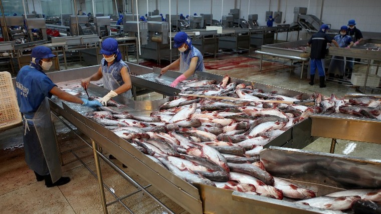 Ấn tượng 'Chính phủ kiến tạo' năm 2017 ảnh 2