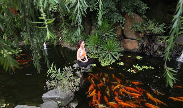 Phú Long công bố dự án Dragon Village- thành phố của những giá trị sống mới ảnh 2