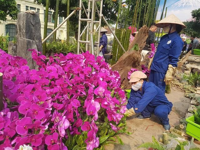 Hà Nội: 500 nghệ nhân đang chuẩn bị cho lễ hội anh đào công phu, độc đáo, lớn nhất thế giới ảnh 5