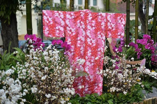 Hoa anh đào Nhật Bản khoe sắc trước giờ khai mạc lễ hội lớn chưa từng có ảnh 11