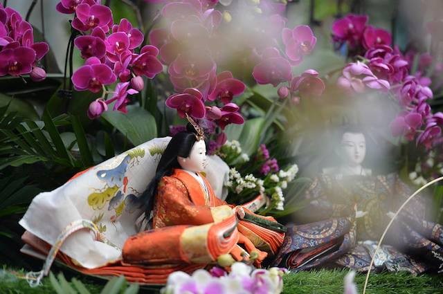 Hoa anh đào Nhật Bản khoe sắc trước giờ khai mạc lễ hội lớn chưa từng có ảnh 10