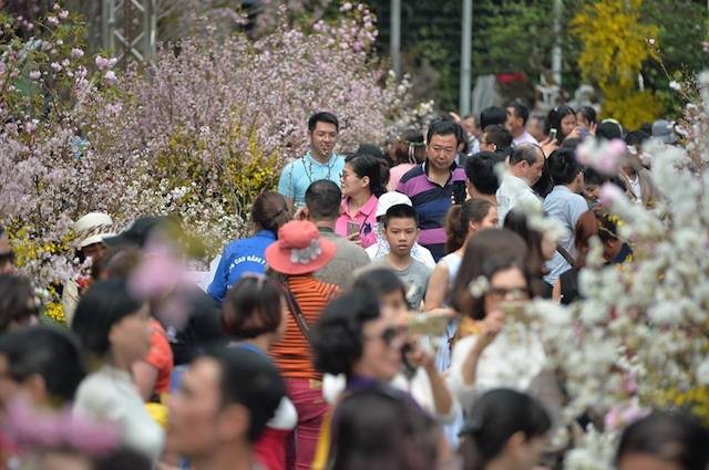 Nhà đầu tư Nhật Bản đổ vốn vào 12 dự án tại Hải Phòng và Hà Nội ảnh 2