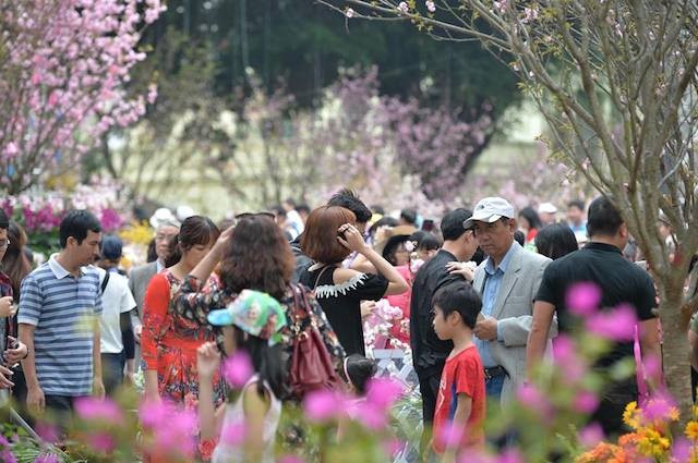 Biển người chen chân ngắm hoa anh đào ngày đầu lễ hội ảnh 6