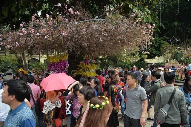 Biển người chen chân ngắm hoa anh đào ngày đầu lễ hội ảnh 3