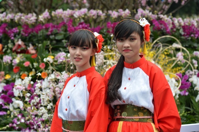 Biển người chen chân ngắm hoa anh đào ngày đầu lễ hội ảnh 4