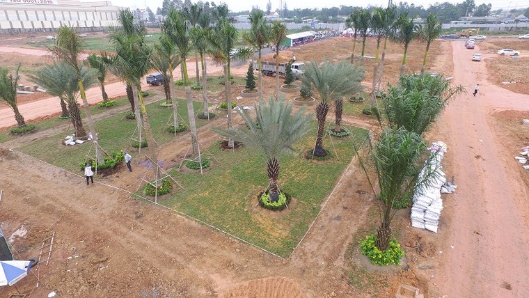 Liều lĩnh làm giàu trong cơn sốt đất ảnh 1