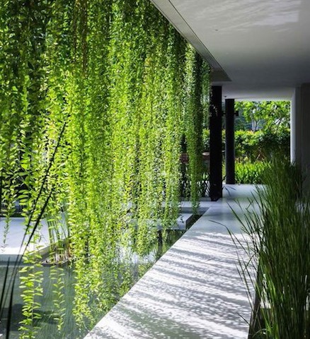 Sở hữu Condotel FLC Grand Hotel Quang Binh với chỉ 100 triệu đồng? ảnh 3