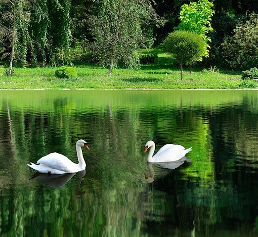 Best Western Premier FLC Quang Binh: 5 điểm đến ‘đốn tim’ ảnh 1