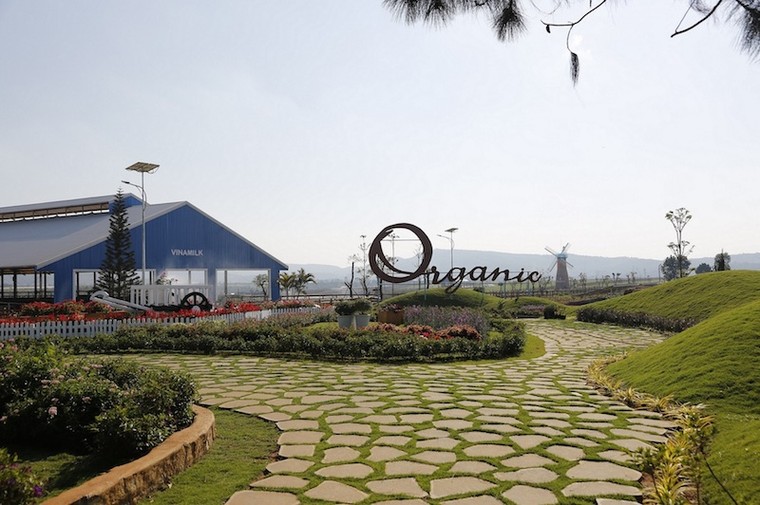 Vinamilk nhận bằng khen của Thủ tướng về phát triển Tam nông bền vững ảnh 3