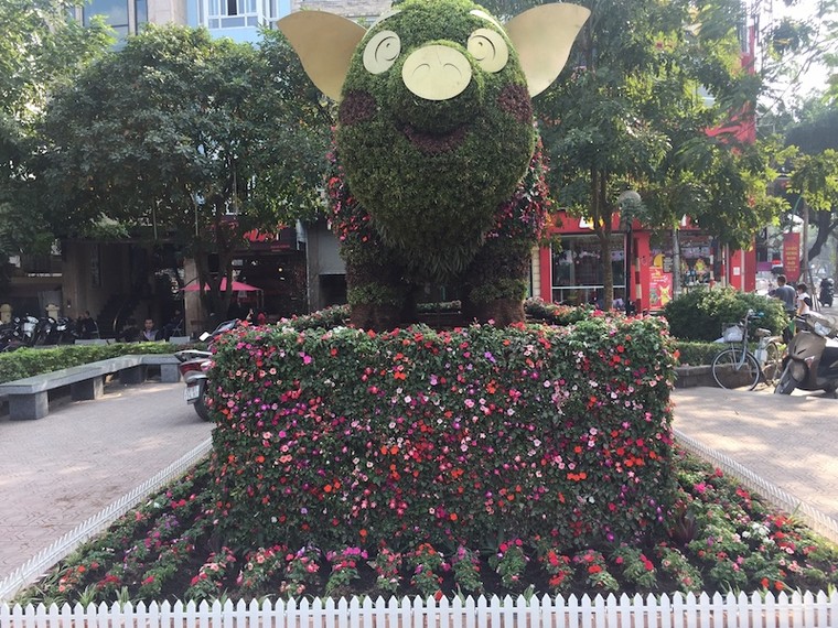 Người dân thích thú chụp ảnh với ‘chú heo vui vẻ’ làm bằng hoa lập thể khổng lồ ảnh 3