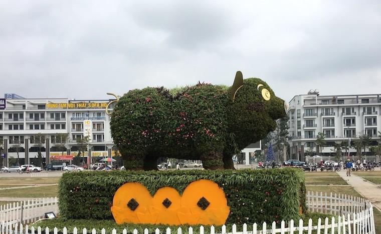 Người dân thích thú chụp ảnh với ‘chú heo vui vẻ’ làm bằng hoa lập thể khổng lồ ảnh 4